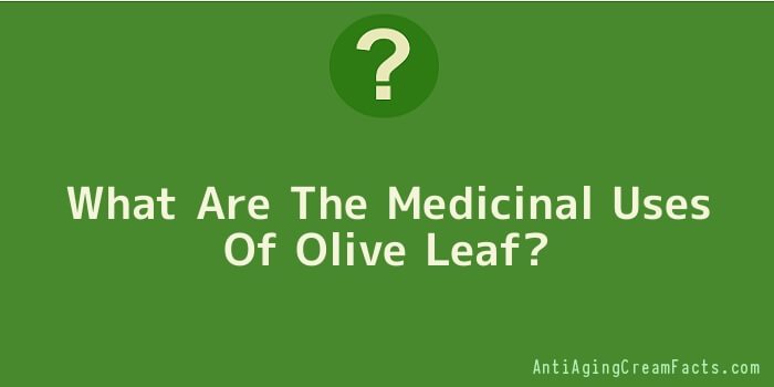 What Are The Medicinal Uses Of Olive Leaf