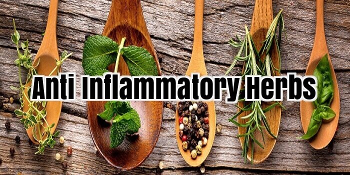 Anti Inflammatory Herbs