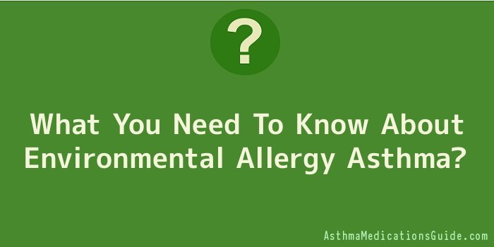 What You Need To Know About Environmental Allergy Asthma