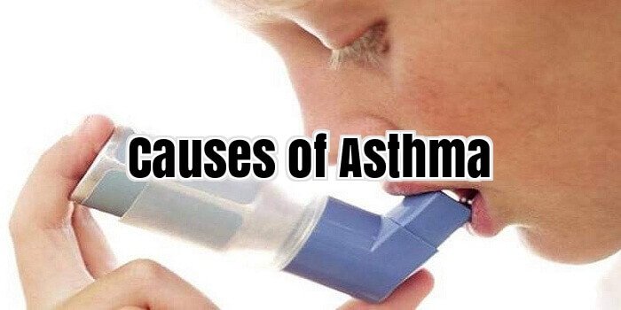 Causes of Asthma