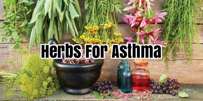Herbs For Asthma