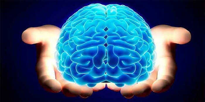Brain Supplements