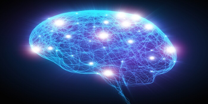 Increase Brain Power Information
