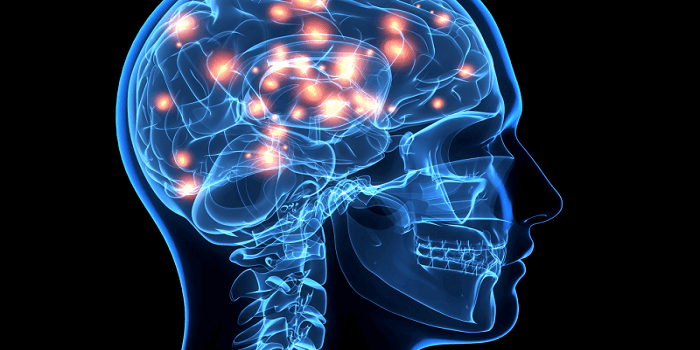 Top Brain Supplements to Prevent Mental Decline