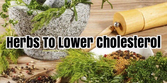 Herbs To Lower Cholesterol
