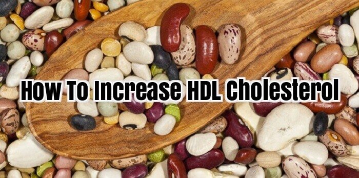 How To Increase HDL Cholesterol