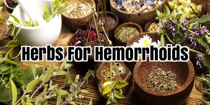 Herbs For Hemorrhoids
