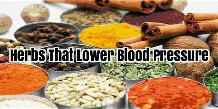Herbs That Lower Blood Pressure