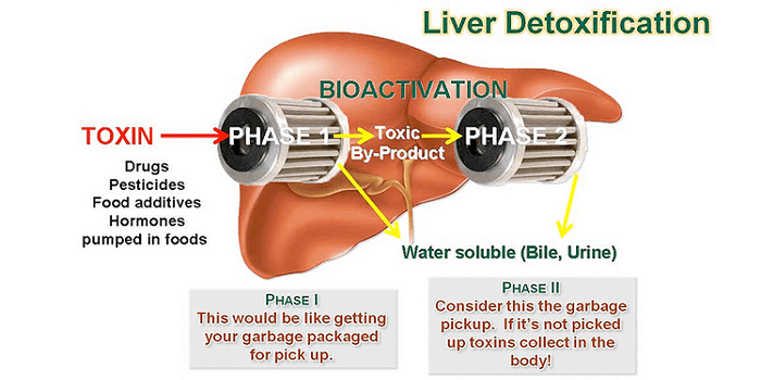 Liver Detoxification
