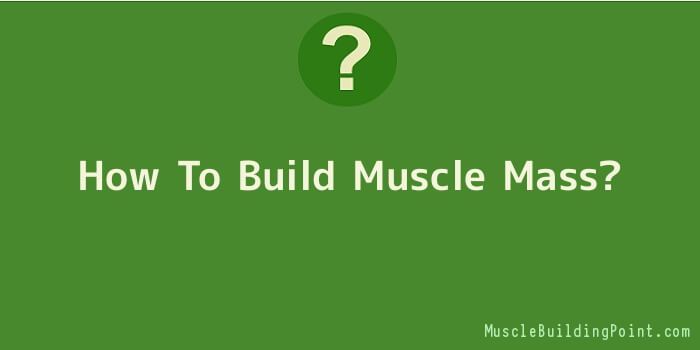 How To Build Muscle Mass