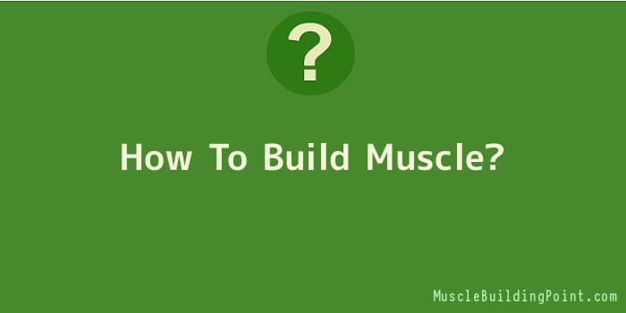 How To Build Muscle