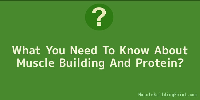 What You Need To Know About Muscle Building And Protein