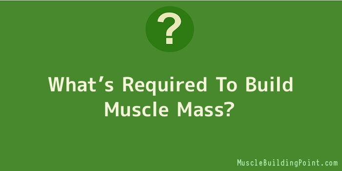What’s Required To Build Muscle Mass
