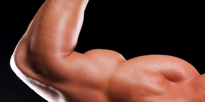 What You Should Do To Build Bigger Muscles