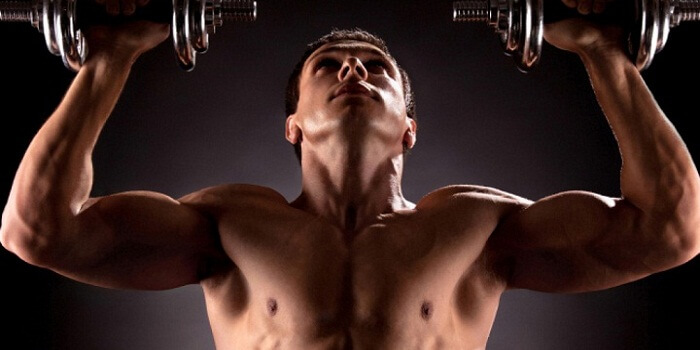 Muscle Building Supplement Regimen For Beginner