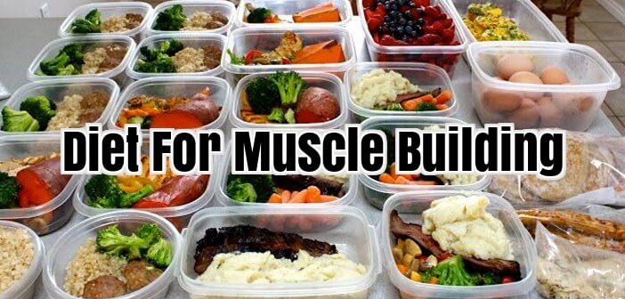 Diet For Muscle Building