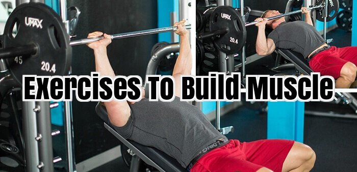 Exercises To Build Muscle