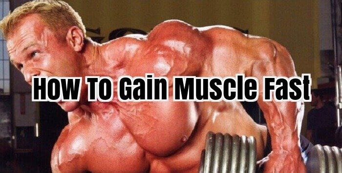 How To Gain Muscle Fast