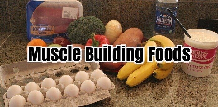 Muscle Building Foods