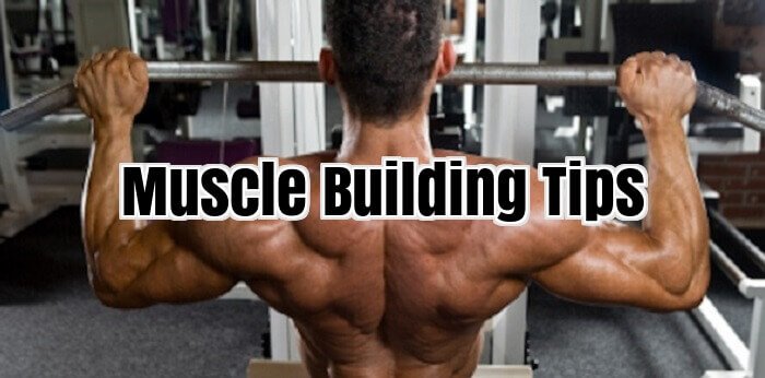 Muscle Building Tips