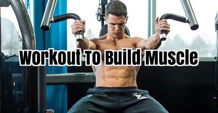 Workout To Build Muscle