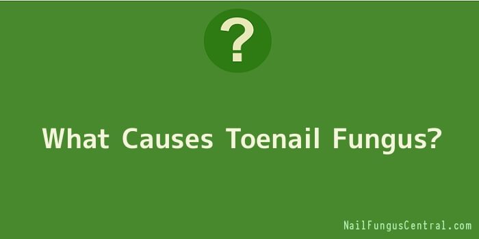 What Causes Toenail Fungus