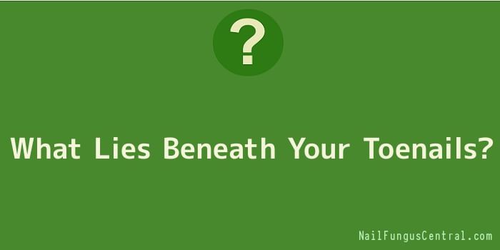 What Lies Beneath Your Toenails