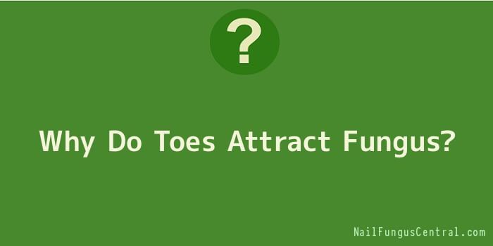 Why Do Toes Attract Fungus
