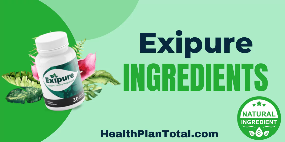 Exipure Ingredients