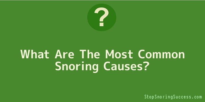 What Are The Most Common Snoring Causes