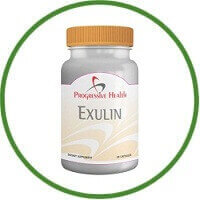 EXULIN