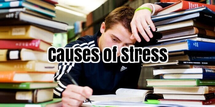 Causes of Stress