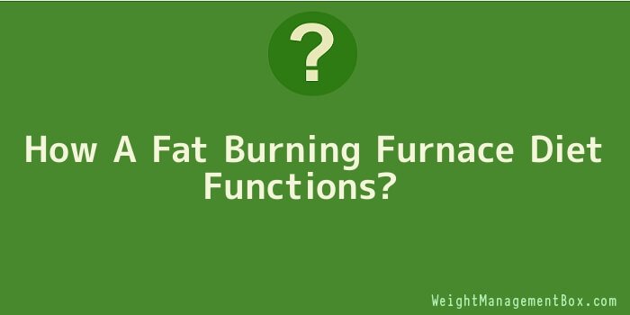 How A Fat Burning Furnace Diet Functions