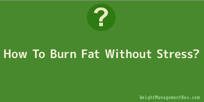 How To Burn Fat Without Stress