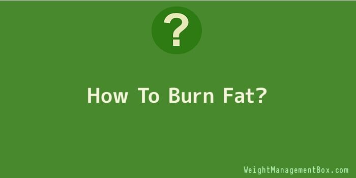 How To Burn Fat