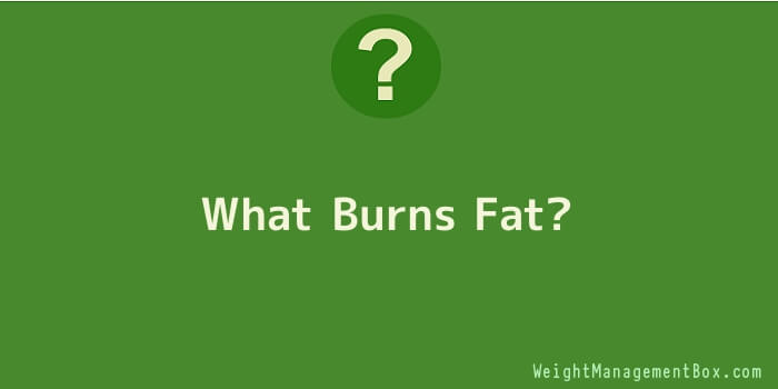 What Burns Fat