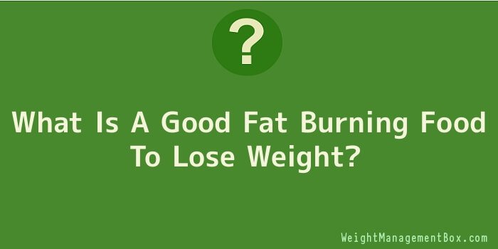 What Is A Good Fat Burning Food To Lose Weight