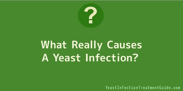 What Really Causes A Yeast Infection
